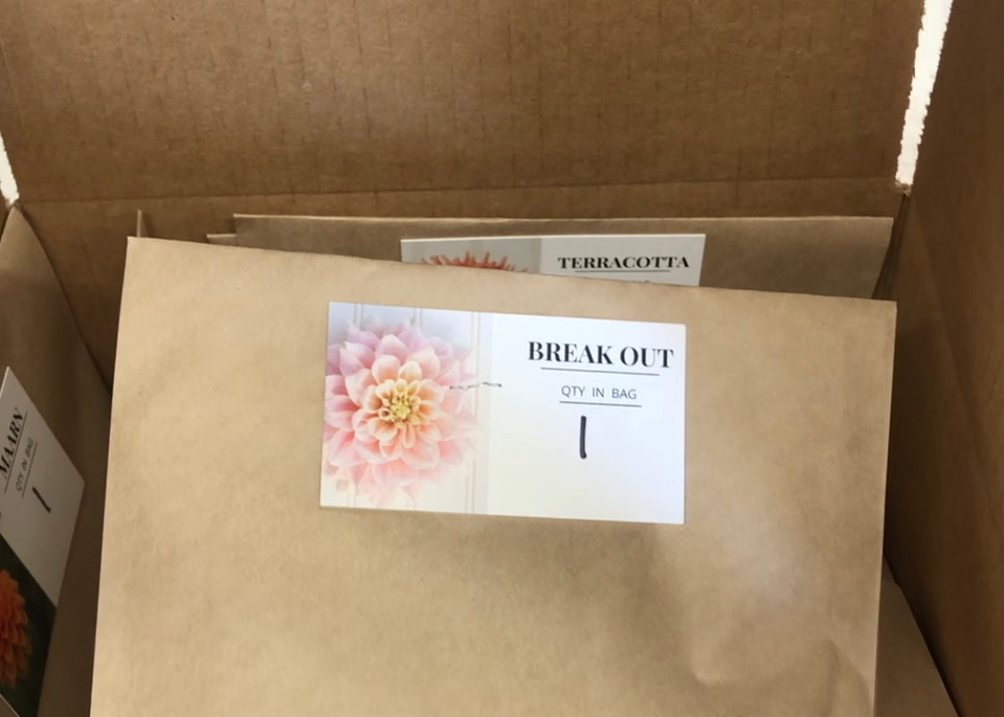 Unboxing Your Tuber Order