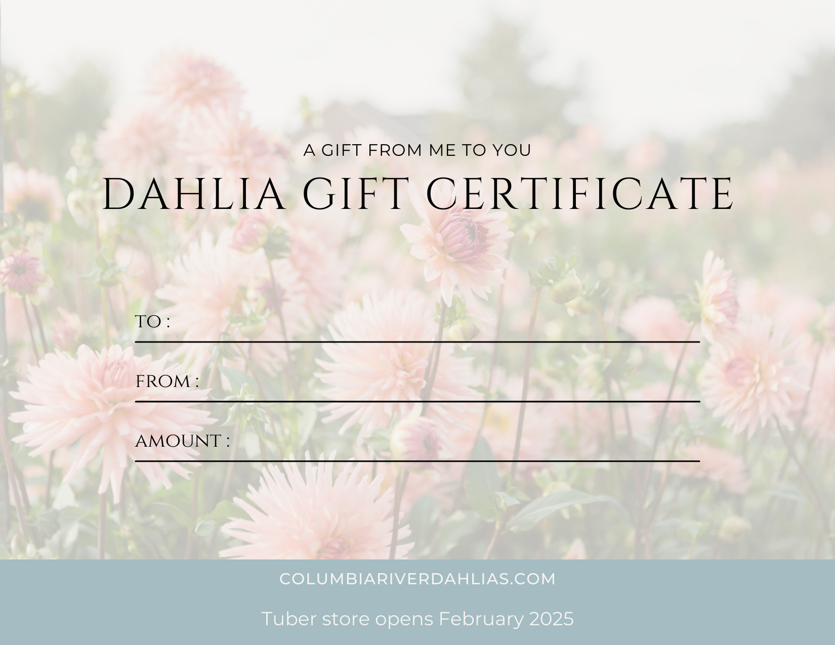 2026 Gift Certificate