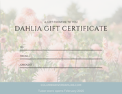 2026 Gift Certificate