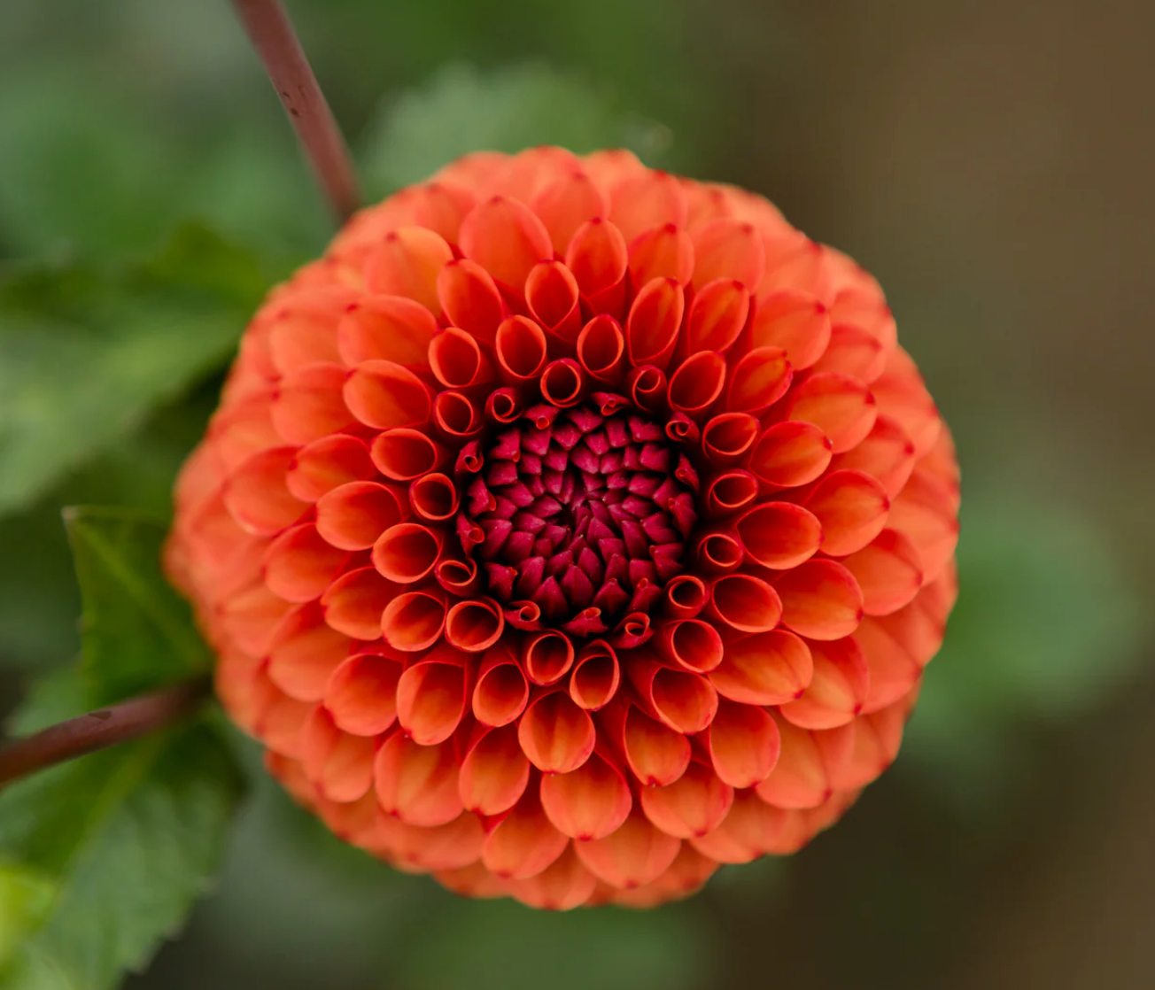 "Moody Harvest" Collection (Free Shipping)