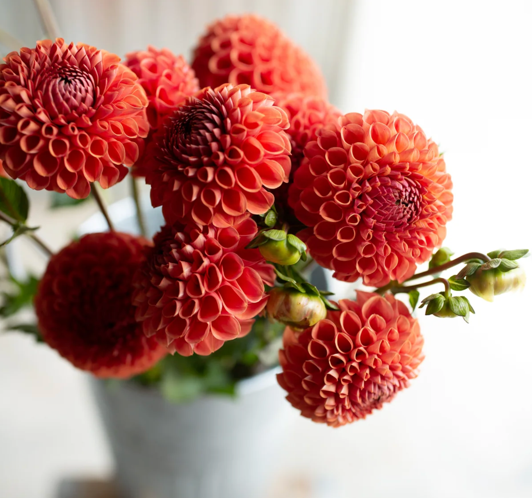 "Juicy Fruit" Collection (Free Shipping)