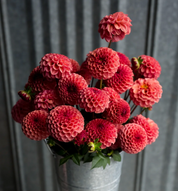 "Scents of Cinnamon" Collection (Free Shipping)