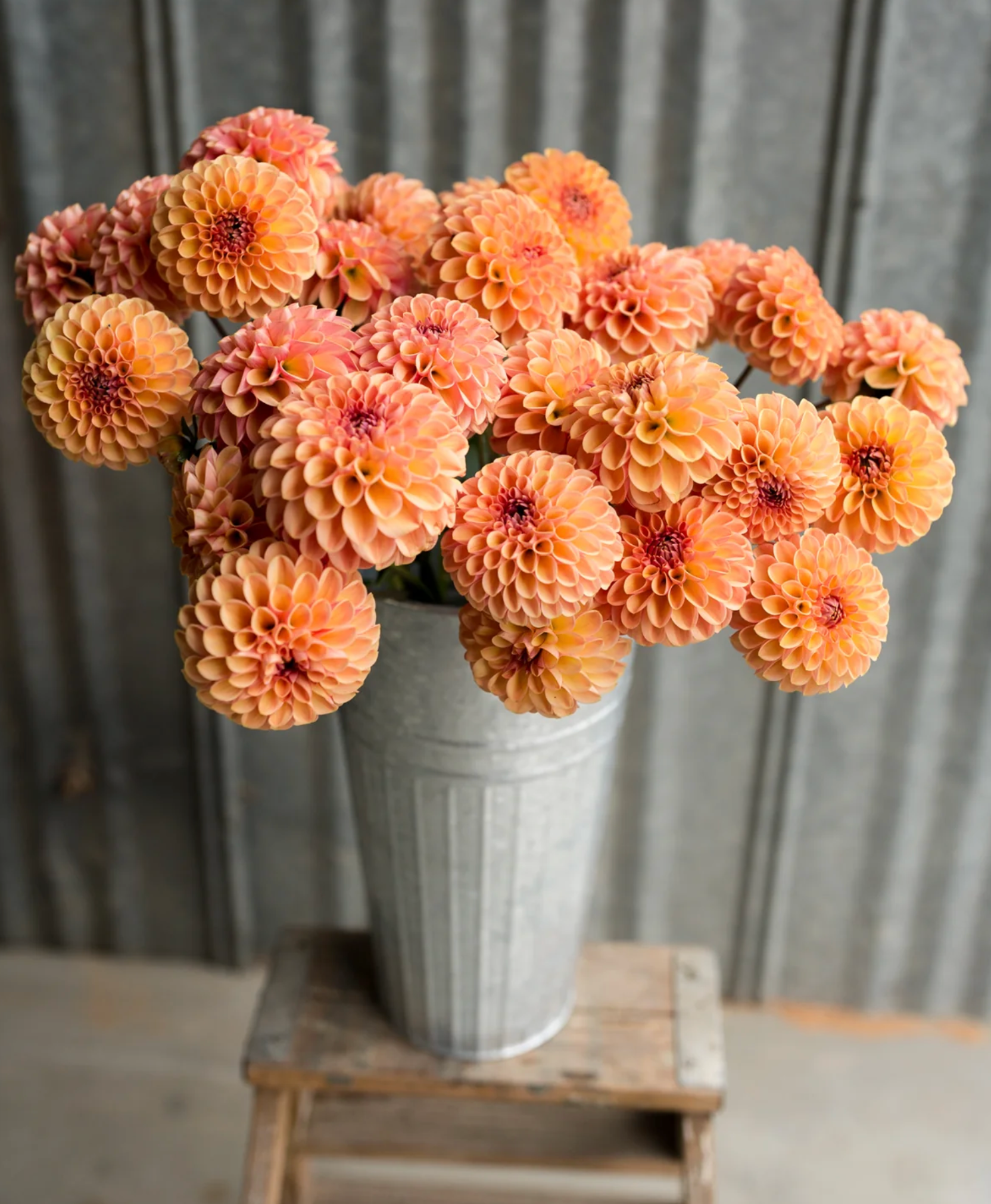 "Scents of Cinnamon" Collection (Free Shipping)