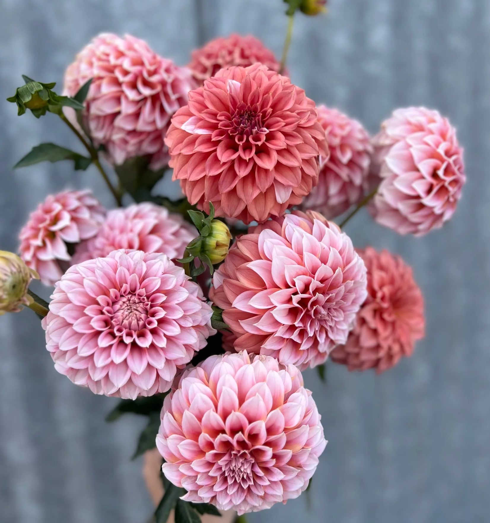 "Moody Harvest" Collection (Free Shipping)