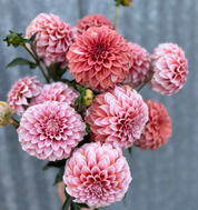 "Moody Harvest" Collection (Free Shipping)