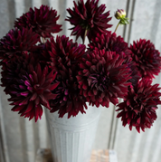 "Moody Harvest" Collection (Free Shipping)