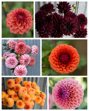 "Moody Harvest" Collection (Free Shipping)