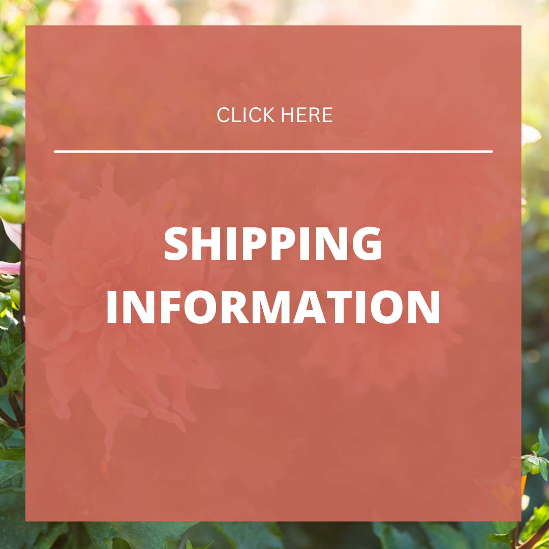 2025 Shipping Info