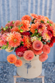 2026 Gift Certificate