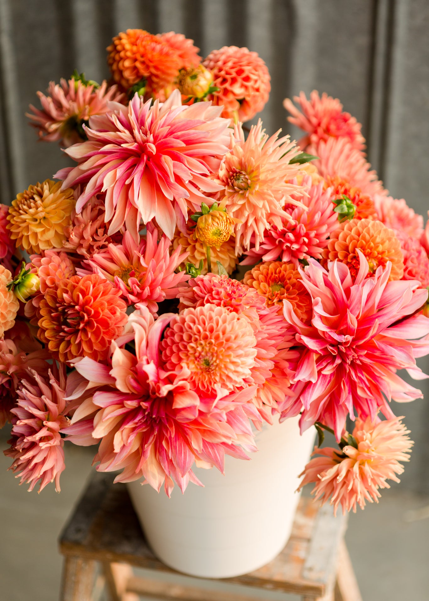 Dahlia_Buckets-104.jpg