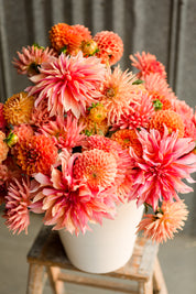 2026 Gift Certificate