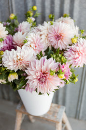 2026 Gift Certificate